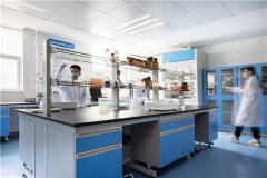 广东省肇庆学院采购农业仪器、微生物丝瓜视频下载污仪器